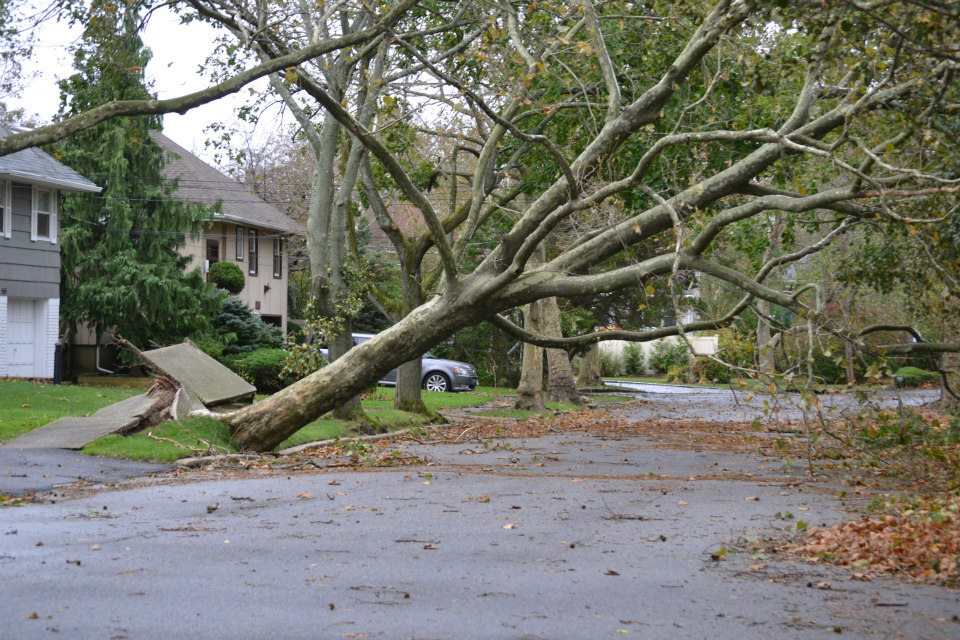 Superstorm Sandy was the second most costly hurricane in US history.
