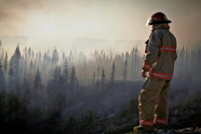 Firefighter standing in front of a forest